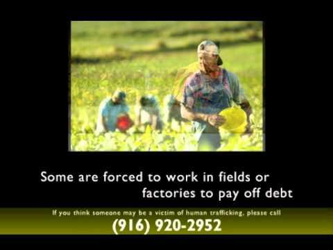 Image of Human Trafficking Services