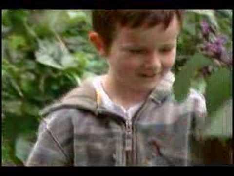 Image of Healing Children through Nature